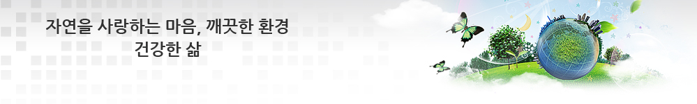 ̹